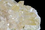 Quartz Crystal Cluster - Brazil #93046-3